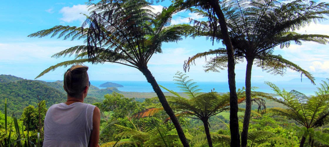 Mount Alexandra Lookout Cape Tribulation